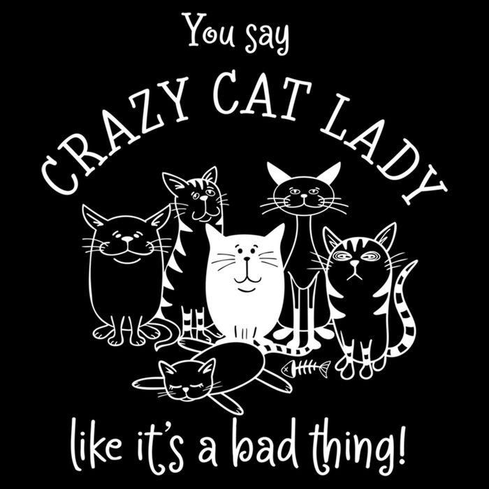 You Say Crazy Cat Lady Like ItS A Bad Thing Meaningful Gift Wool Snapback Cap