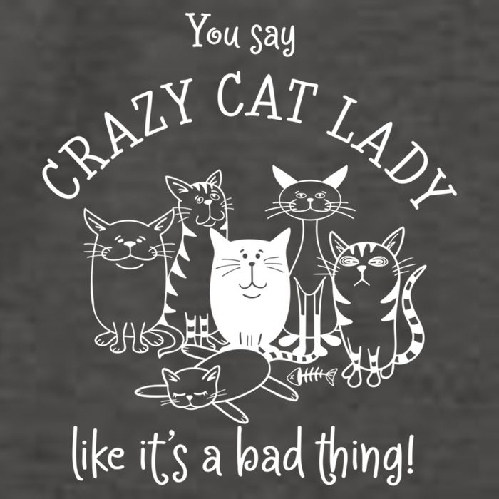 You Say Crazy Cat Lady Like ItS A Bad Thing Meaningful Gift Vector Backpack