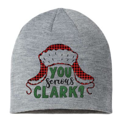 You Serious Clark? Sustainable Beanie