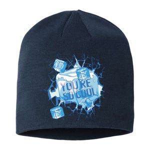 You're So Cool Ice Gift Sustainable Beanie