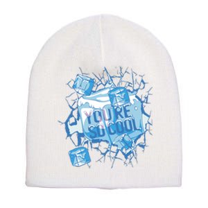 You're So Cool Ice Gift Short Acrylic Beanie