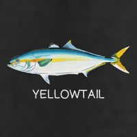 Yellowtail Saltwater Game Fish Adult Drive Performance Visor