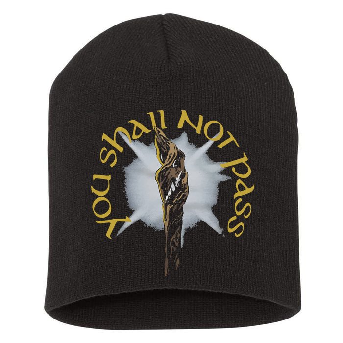 You Shall Not Pass Short Acrylic Beanie