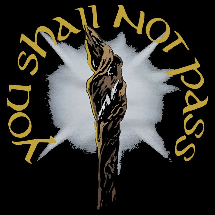 You Shall Not Pass Short Acrylic Beanie