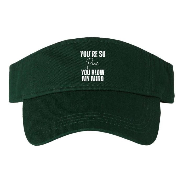 Youre So Pine You Blow My Mind Funny Christmas Valucap Bio-Washed Visor