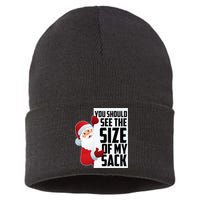 You Should See The Size Of My Sack Funny Santa Claus Sustainable Knit Beanie