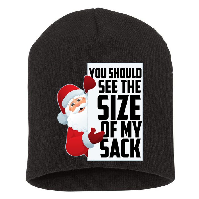 You Should See The Size Of My Sack Funny Santa Claus Short Acrylic Beanie