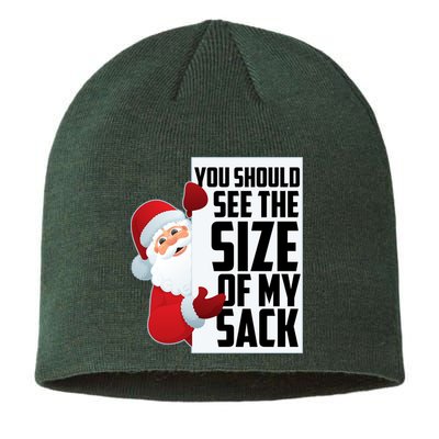 You Should See The Size Of My Sack Funny Santa Claus Sustainable Beanie