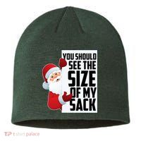 You Should See The Size Of My Sack Funny Santa Claus Sustainable Beanie