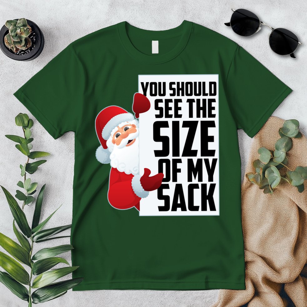 You Should See The Size Of My Sack Funny Santa Claus Premium T-Shirt