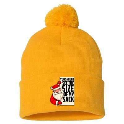 You Should See The Size Of My Sack Funny Santa Christmas Pom Pom 12in Knit Beanie