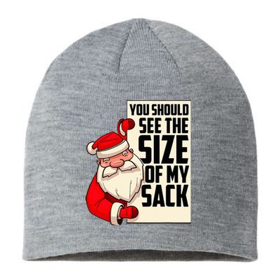 You Should See The Size Of My Sack Funny Santa Christmas Sustainable Beanie