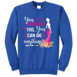 You Survived This You Can Do Anything Breast Cancer Warrior Funny Gift Sweatshirt