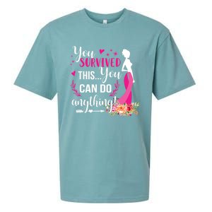 You Survived This You Can Do Anything Breast Cancer Warrior Funny Gift Sueded Cloud Jersey T-Shirt