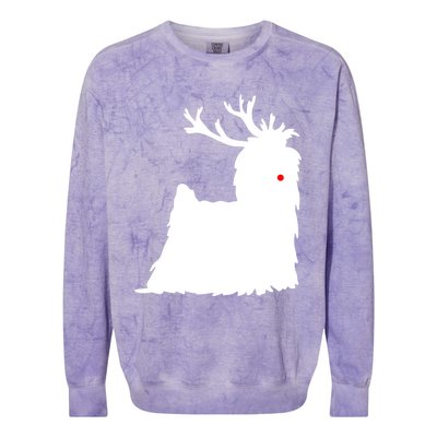 Yorkshire Terrier Christmas Nosed Reindeer Gift Colorblast Crewneck Sweatshirt