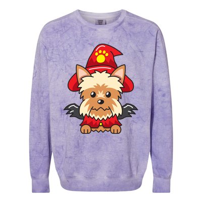 Yorkshire Terrier Dog With Halloween Costume Colorblast Crewneck Sweatshirt