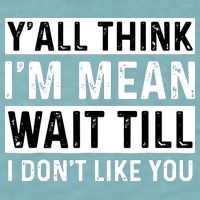 Yall Think Im Mean Wait Till I Dont Like You Tee Sueded Cloud Jersey T-Shirt