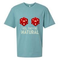 Yes They're Natural D20 Dice Funny Sueded Cloud Jersey T-Shirt
