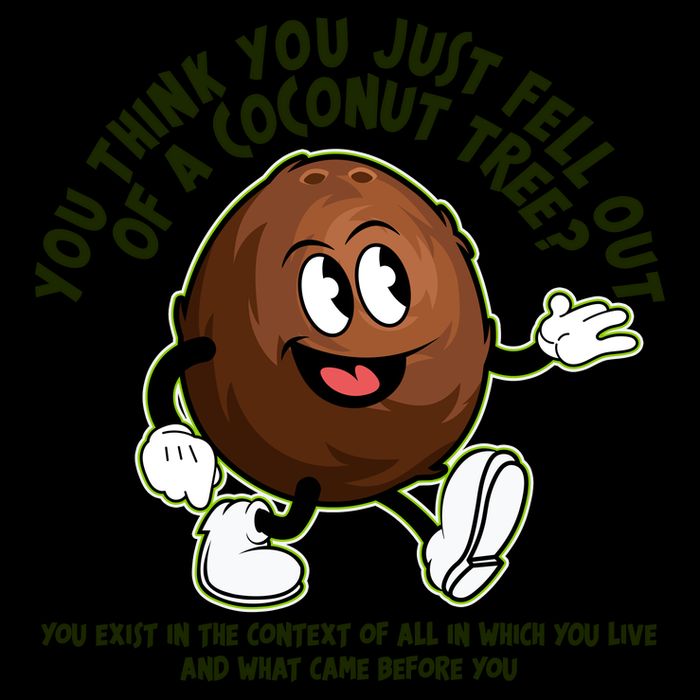 You Think You Just Fell Out Of A Coconut Tree Kalama Harris 2024 Meme Mug