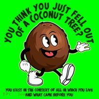 You Think You Just Fell Out Of A Coconut Tree Kalama Harris 2024 Meme Magnet
