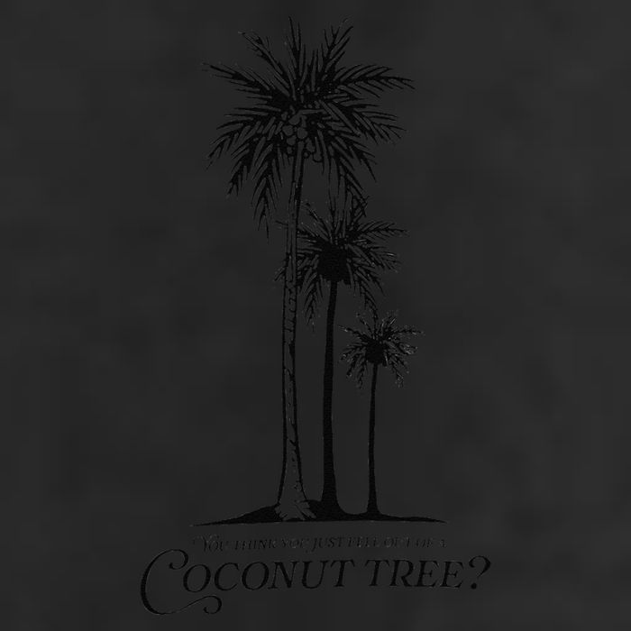 You Think You Just Fell Out Of A Coconut Tree Meme Adult Drive Performance Visor