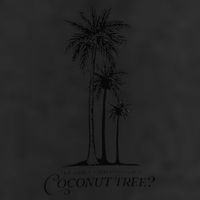 You Think You Just Fell Out Of A Coconut Tree Meme 25L Jumbo Tote