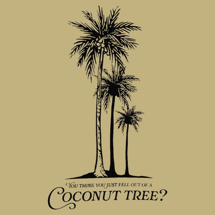 You Think You Just Fell Out Of A Coconut Tree Meme Button