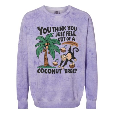 You Think You Just Fell Out Of A Coconut Tree Meme Colorblast Crewneck Sweatshirt