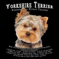 Yorkshire Terrier Yorkie Owner Lover Human Trainer Backpack