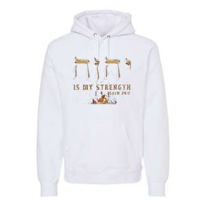 Yhwh Tetragrammaton Yahweh Elohim Hebrew Israelite Premium Hoodie