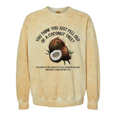 You Think You Just Fell Out Of A Coconut Tree Kamala T Shirt1.Png Colorblast Crewneck Sweatshirt