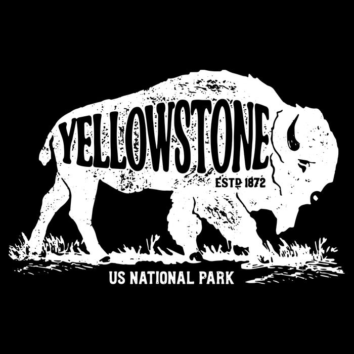 Yellowstone US National Park Bison Buffalo Vintage Men Women Womens Tank Top