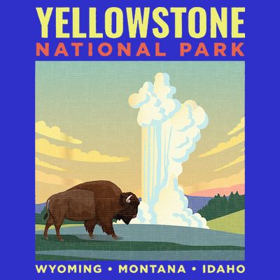 Yellowstone US National Park Bison Vintage Gift T-Shirt
