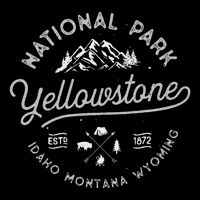 Yellowstone Us National Park Bison Buffalo Backpack