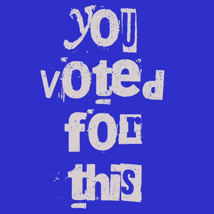 You Voted For This Political Satire Premium T-Shirt