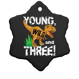 Young Wild And Three (3) Dinosaur Trex Birthday Boy Ceramic Star Ornament