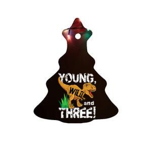 Young Wild And Three (3) Dinosaur Trex Birthday Boy Ceramic Tree Ornament