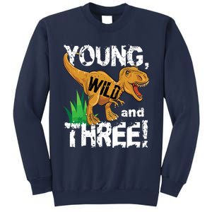 Young Wild And Three (3) Dinosaur Trex Birthday Boy Sweatshirt