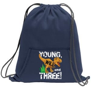 Young Wild And Three (3) Dinosaur Trex Birthday Boy Sweatshirt Cinch Pack Bag