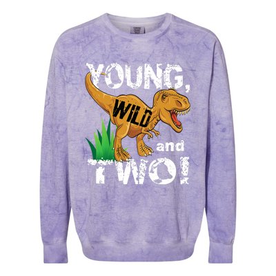 Young, Wild and Two 2 year old dinosaur birthday shirt boy Colorblast Crewneck Sweatshirt