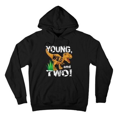 Young, Wild and Two 2 year old dinosaur birthday shirt boy Hoodie