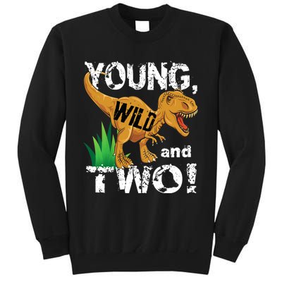 Young, Wild and Two 2 year old dinosaur birthday shirt boy Sweatshirt