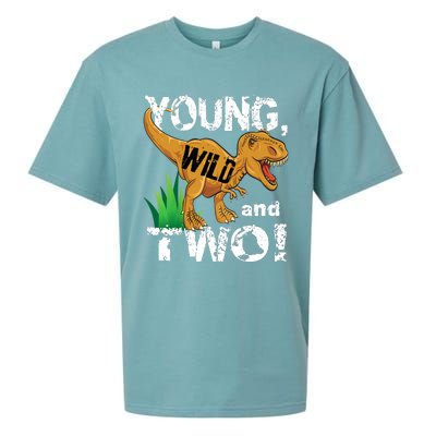 Young, Wild and Two 2 year old dinosaur birthday shirt boy Sueded Cloud Jersey T-Shirt