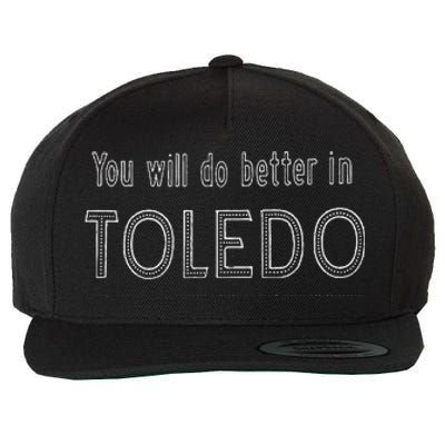 You Will Do Better In Toledo Ohio 419 Wool Snapback Cap