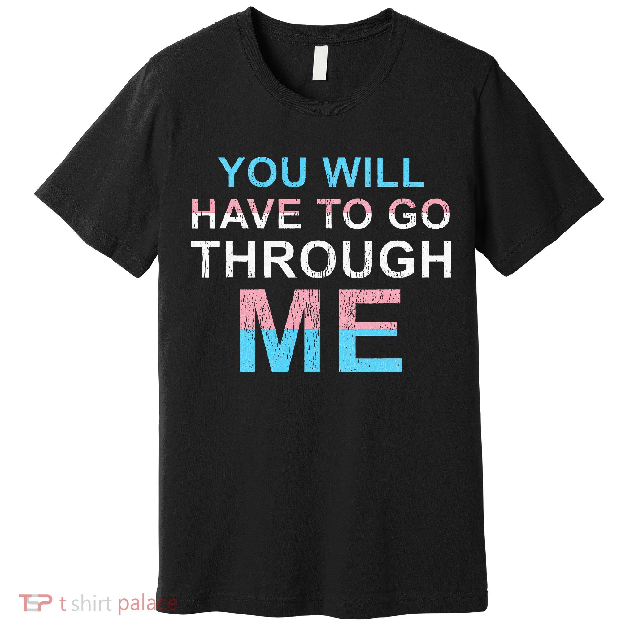 You Will Have To Go Through Me Lgbtq Ally Statrement Premium T-Shirt