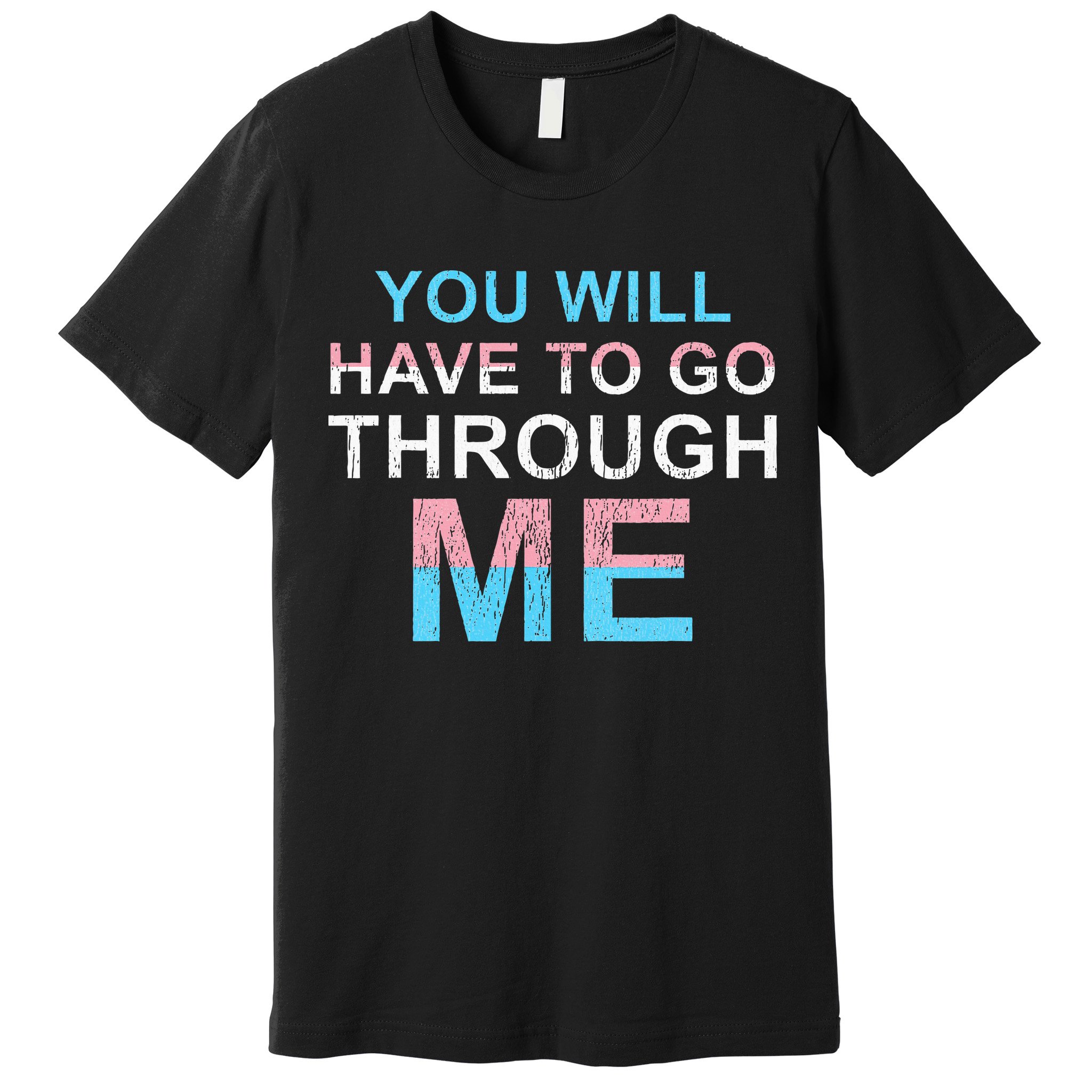 You Will Have To Go Through Me Lgbtq Ally Statrement Premium T-Shirt