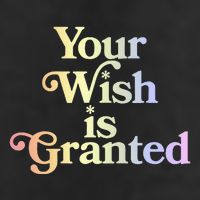 Your Wish Is Granted Adult Drive Performance Visor