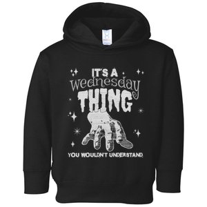 You Wouldnt Understand This Thing On A Gloomy Wednesday Toddler Hoodie