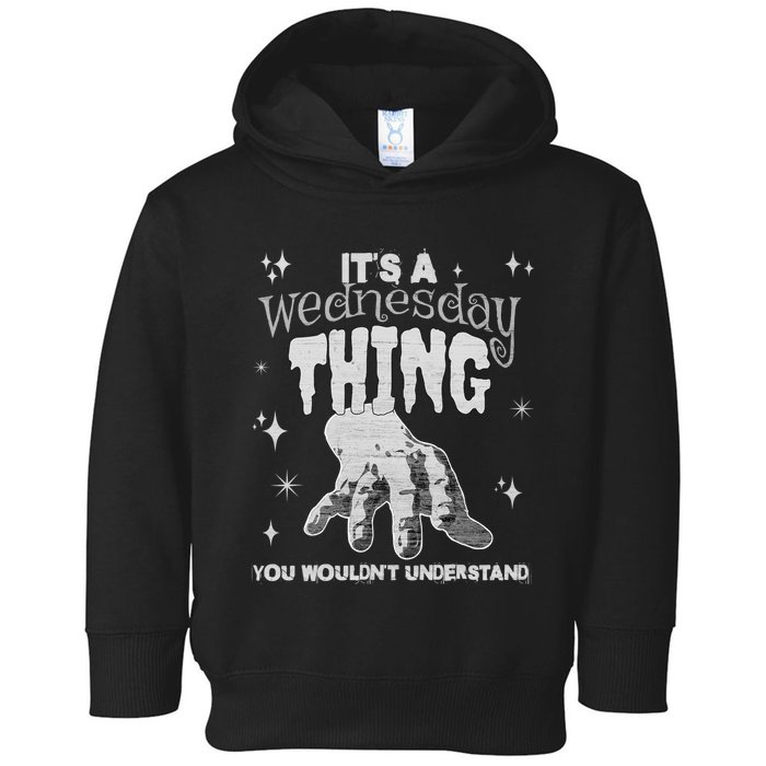 You Wouldnt Understand This Thing On A Gloomy Wednesday Toddler Hoodie