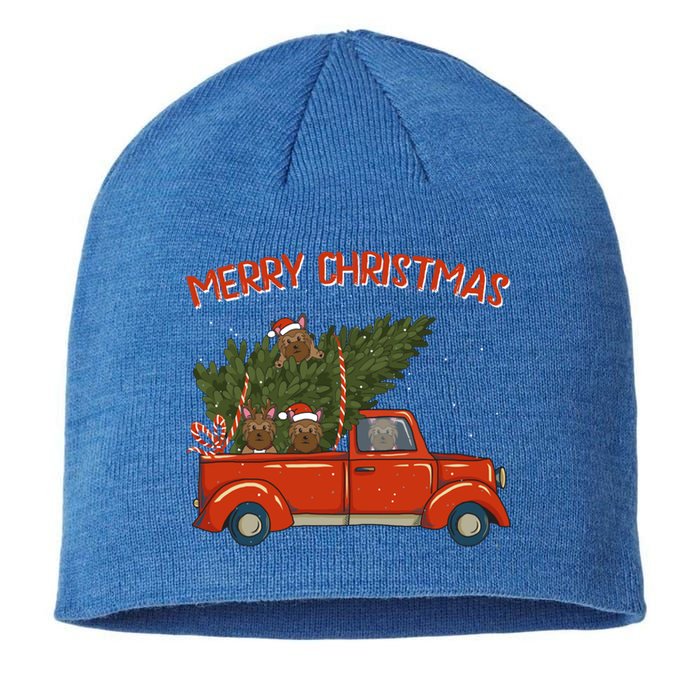 Yorkie Xmas Vintage Red Pickup Retro Truck Meaningful Gift Sustainable Beanie